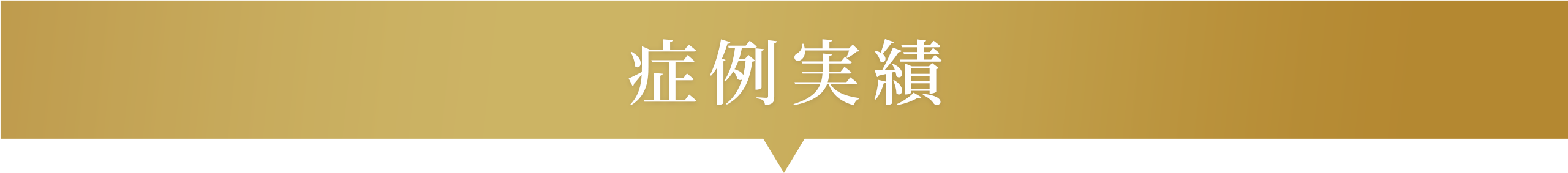 レナータクリニック 医療痩身の症例実績