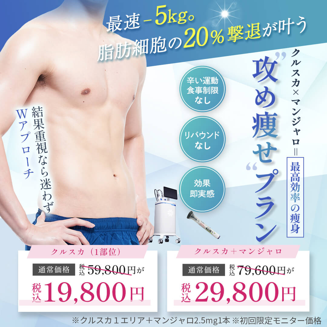 攻め痩せプラン